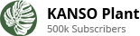 Logo Subcribe