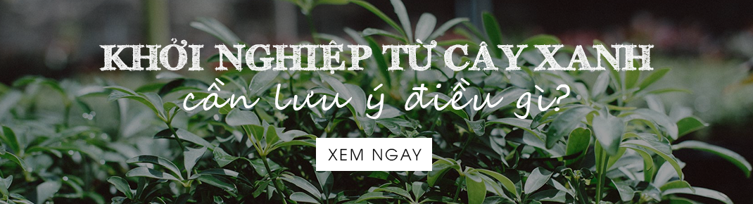 Khởi nghiệp từ cây xanh - Kanso Plant