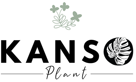 Kanso Plant Background Logo