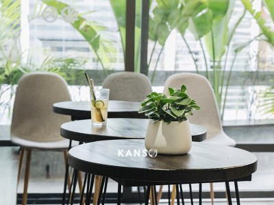 Chậu Gốm Sứ Bát Tràng