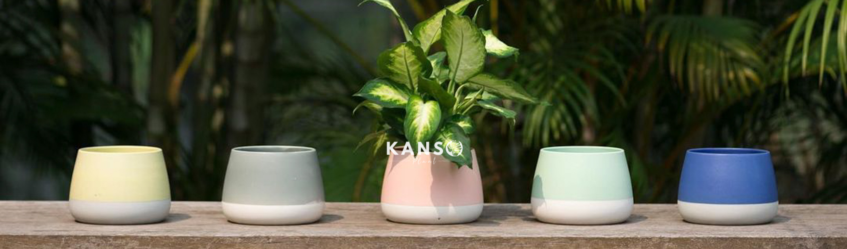 Chậu Gốm Sứ Bát Tràng