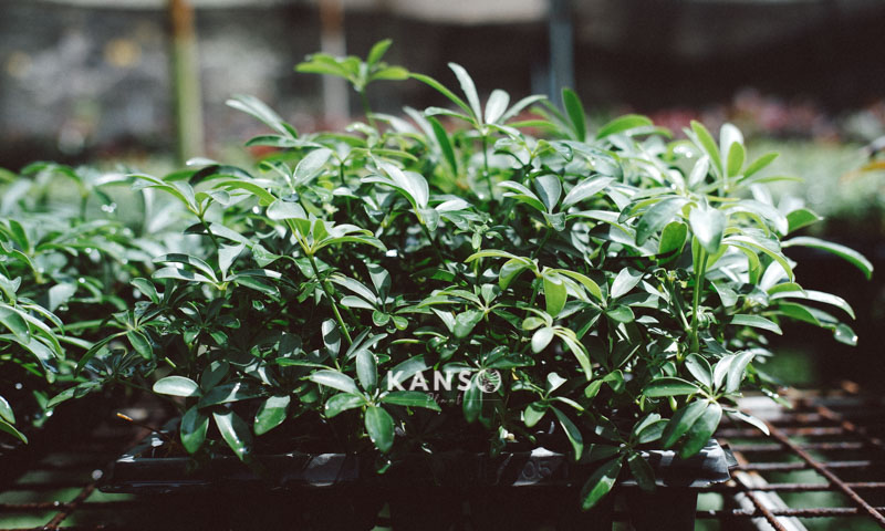 Hỗ trợ marketing